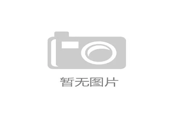 李帅经历低谷后的蜕变之路:凭借不懈努力重回公众视野的励志故事